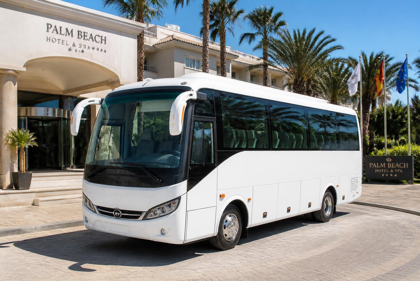 Minibus de tourisme 30 places
